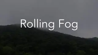 Rolling Fog - Nature Relaxation Video