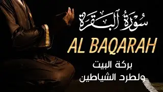 سورة البقرة (كاملة) للشيخ علاء عقل لحفظ وتحصين المنزل وجلب البركة تلاوة رائعة Sourah Baqara