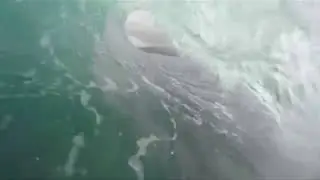 Samoa 2018