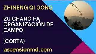 Zu Chang Fa Corto - Organizaci&oacute;n de Campo Zhineng Qi Gong