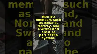 How the new European Union entry-exit system worked as it launched.
