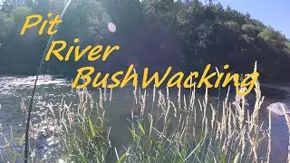 Pit River Bush Wacking