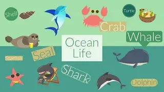OCEAN LIFE Vocabulary - Theme-based Learning
