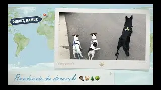 Vlog - Randonnée du dimanche 🥾🐕🌲🌳  5 juillet 2020