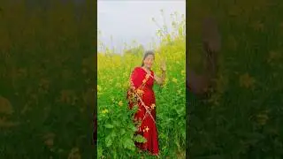 panchhi sur me gate hai #hindisong #viral #reels