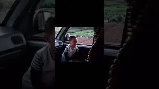 Хорошо смеется последний. Автор видео: @miawonnigasaurus  #комментарии #юмор #мемы