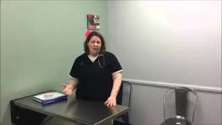 How Often Should My Cat Visit the Vet?