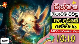 විශාල පෙරළියක් සිදුවීමට පෙර ඔබ මෙම වීඩියෝව දකිනු ඇත | Your Divine Message TODAY | From Universe