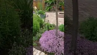 Garden tour of 