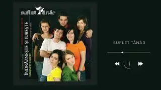 SUFLET T&Acirc;NĂR | 2008 | albumul 