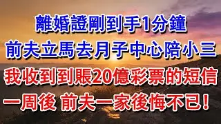 【優秀爽文】離婚證剛到手1分鐘，前夫立馬去月子中心陪小三。我收到到賬20億彩票的短信，一周後，前夫一家後悔不已！#婆媳 #家庭 #情感故事 #為人處世 #婚姻 #故事 #情感 #出軌 #生活