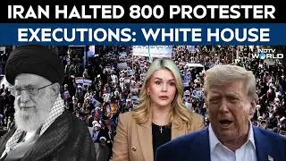 Iran Protest News | Iran Halted 800 Protester Executions: White House