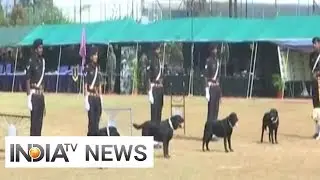 'Know your Army Mela' organised in Goa