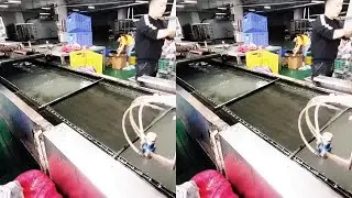 Water transfer printing wood grain process # Huizhou # printing # plastic metal # car interior