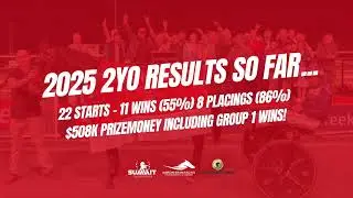 ABR&rsquo;s 2025 Harness Season So Far