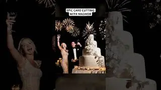 An epic cake cutting turned even better with the help of the MagBeam #magmod #weddingphotography