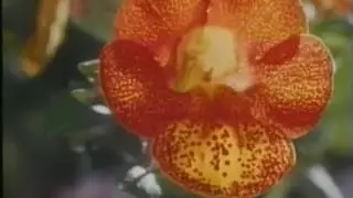 Maranatha Music - This Is The Day (Inspirational Video)