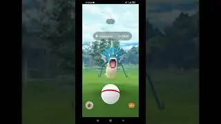 Did We Get ✨Shiny Gyarados✨? | Pokemon Go Mega Gyarados Raid Day