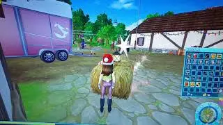 Star Stable - Chores
