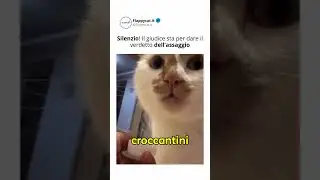 Gatto Sommelier #doppiaggio #cats