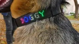 Smart APP Led Controlled Dog Collar DIY Text Led Dog Collar Display LED screen magic fashion pet col
