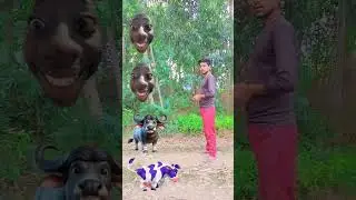 cow,, buffalo,, goat,, lion VFX magic //youtubeshorts#trending#shorts#funnyshortsfeed#comedy