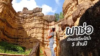 ผาช่อ อัศจรรย์โลกใต้น้ำ 5 ล้านปี / เที่ยวเชียงใหม่