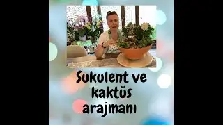 Masalsı bir arajman yapımı