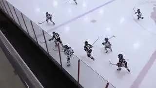 Chicago Reapers vs Windy City Storm - 10U AAA Hockey - 1/25/26