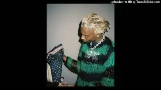 [FREE] playboi carti + pierre bourne + wlr v1 type beat - 
