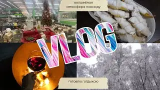 VLOG 173 Новогодняя атмосфера повсюду и в магазинах, и за окном. Все как обычно магазины/готовка