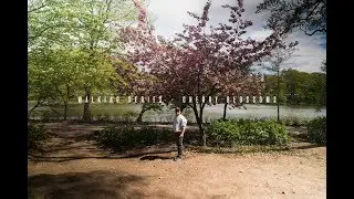 GoPro Hero 7 Black - Walking Series - Cherry Blossoms