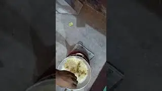 Bachelor's Survival 