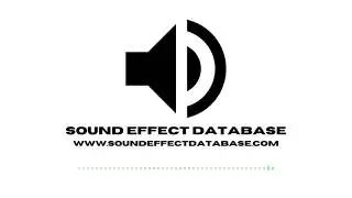 Walking In Sand Sound Effect