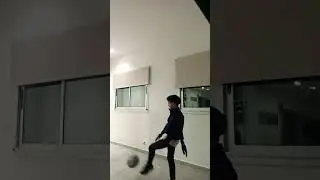 le met&iacute; goles a yashin