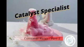 MuleSoft Catalyst course - Customer Roles part 2