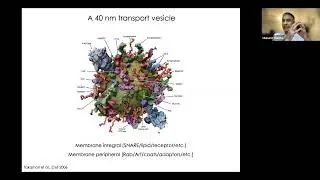 Theory of Living Systems Webinar - Prof. Mukund Thattai (NCBS, Bangalore)