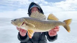 Подледная рыбалка на судака в заливе Грин-Бей (как это сделать)