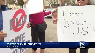 Group protests Elon Musk's cost-cutting outside Tesla dealership in Palo Alto
