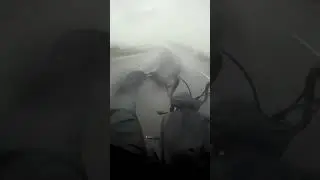 Creedence Clearwater Revival - Rain #motorcycle #chopper #customlife