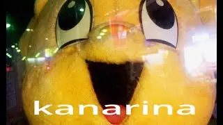 fractal dance/ かるえるら, ノベル, mapeto, jinmenusagi, TORAUMA, kanarina (2015)