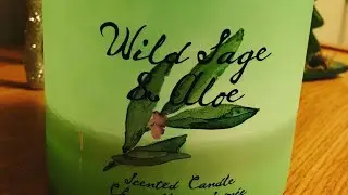 TBT Candle Review: Bath & Body Works Wild Sage & Aloe