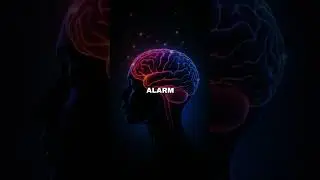 #mentalhealth #awarness #psyhologyfacts #psychology #science #knowledge #neuroscience #brain