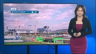 Прогноз Ханны Джордж на вечер вторника (29.04.25)