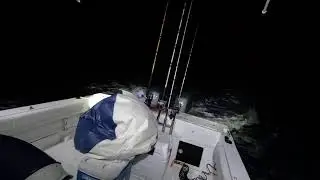 Roughly 50 miles offshore solo fishing with my doggo