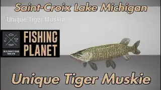 Fishing Planet Unique Tiger Muskie Saint-Croix Lake Michigan