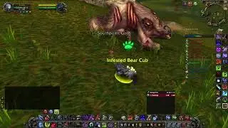Как получить заражённого медвежонка в MoP Classic WoW