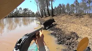 Cheeky lockdown clip as I'm locked down in Sydney so no hunts for a while.