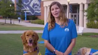 STEP Dog Training Program