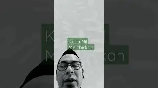 Kuda Nil melahirkan